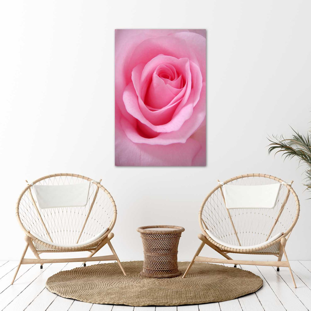 Fotodruck Romantic Rose