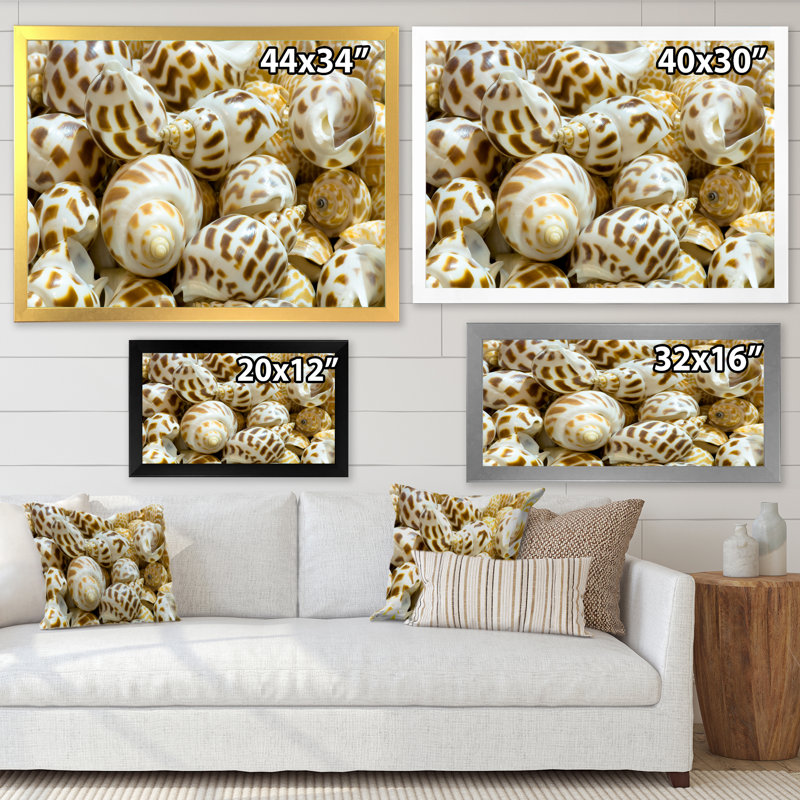 Gros plan de coquillages - art mural nautique et côtier sur toile, H 8 po x l 12 po x P 1 po, Cadre photo noir