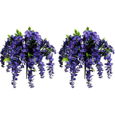 Fleurs et tiges de glycine