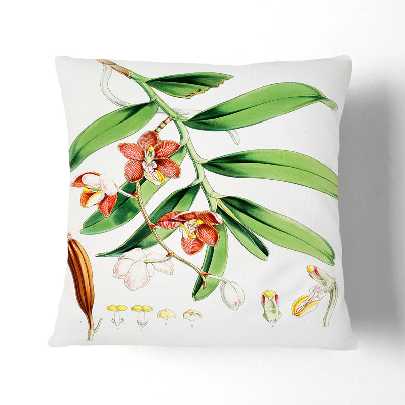 Floral Square Throw Cushion, Stone, 40cm H x 40cm W x 15cm D