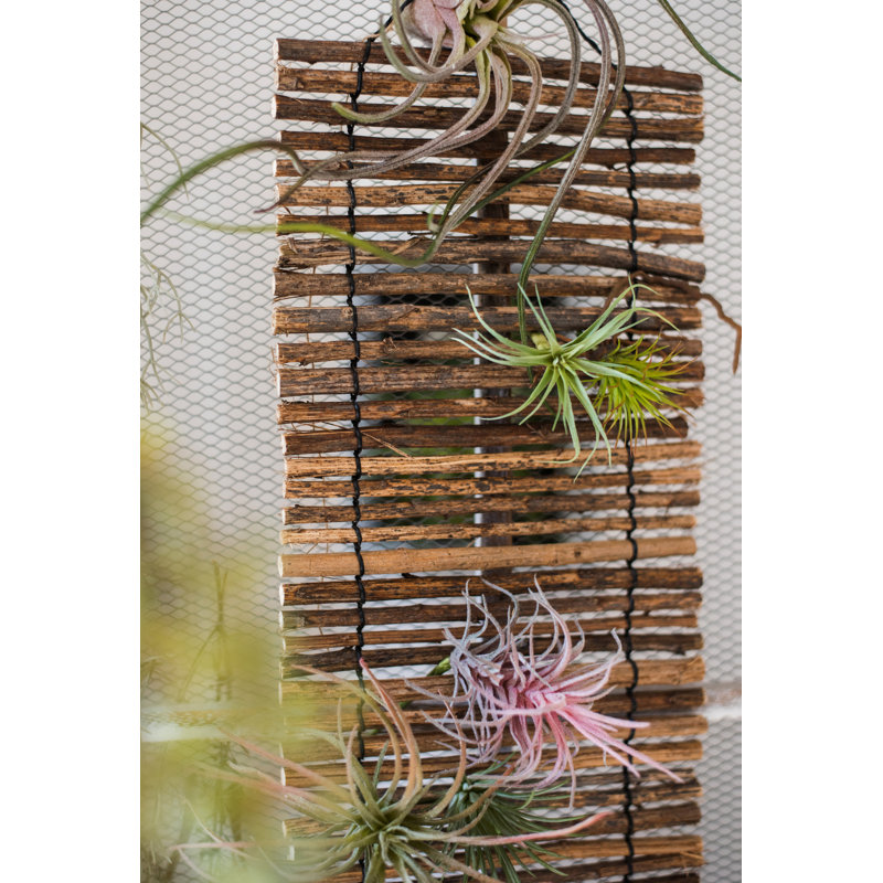 Kilpatrick Rollup Shades, 39.4" H x 9.8" W x 1" D
