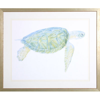 Tranquil Sea Turtle I Print by Meagher