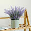 Arrangement de lavande Kassaraba-232822079