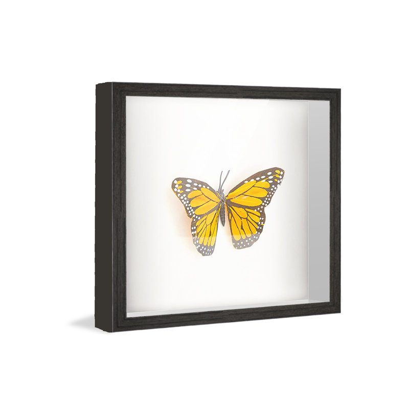 Chapnick Solid Wood Shadow Box Picture Frame, Black, 10" W x 10" H