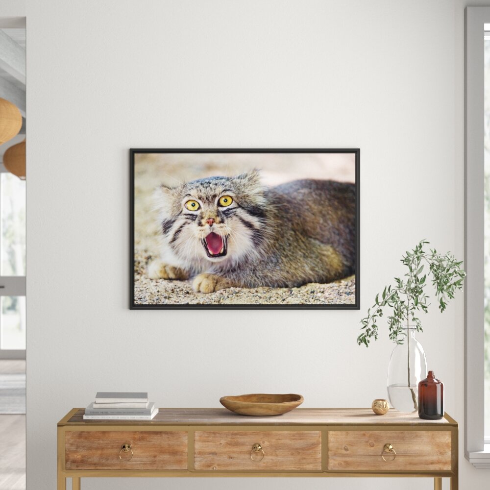 Gerahmtes Wandbild scheue Manul