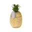 Gold Pineapple Ice Bucket with Lid, Premium addition Retro Bar Accessory Elegant Cooler, 21.5 x 21.5 x 27 cm