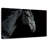 Brampt Horse Head-107687041