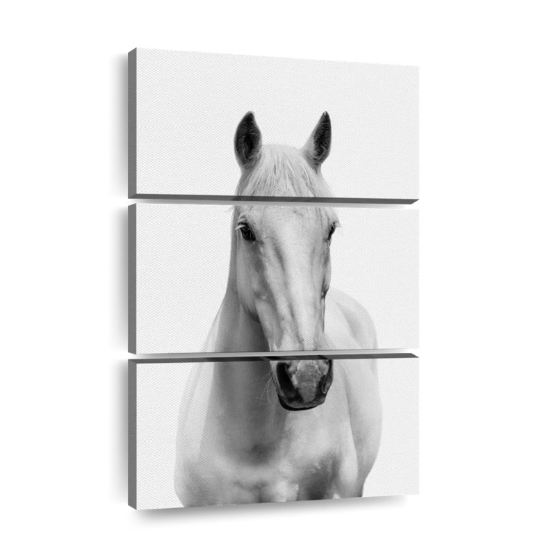 " Slim White Horse " by Emma P 3 - Pieces, 38" H x 24" W x 1.25" D