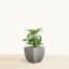 Jardinière écologique d'intérieur / extérieur Vinesha ECOBO-1197920228-1203563269-1203563271