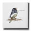 «Songbird Study VI» par Bruce Dean, estampe numérique sur toile-2055633975