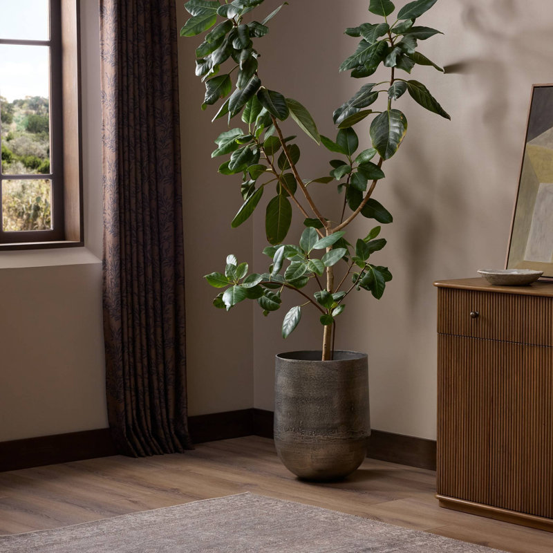 Zavia Planter