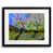 Black Framed Paper selected