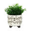 Jardinière en céramique à pieds griffonnés 6/8 "S / 2