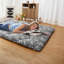 Tapis de camping pliable japonais-1209207479-1209207497