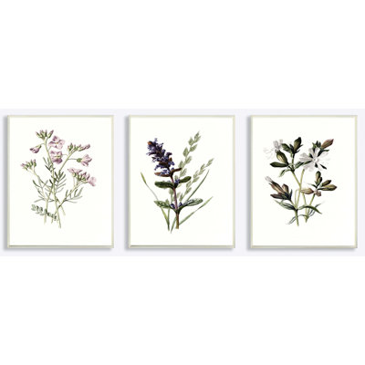 « floral botanique arts », ensemble de 3 reproductions d’impressions
