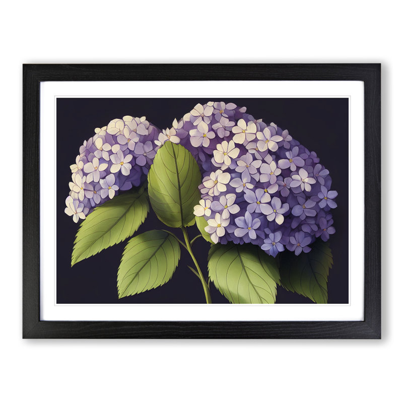 Lively Hydrangea Flowers - Single Picture Frame Print, Black, 25cm H x 34cm W
