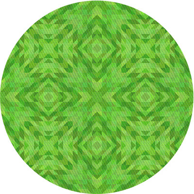 Oriental Indoor Rug
