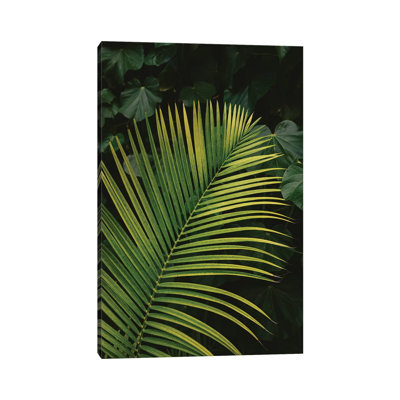 Tropical Hawaii II by Bethany Young - Print on Canvas
