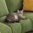 Green Polyester Modular Living room sofa-1791110421-1791110422