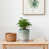 Green/Antique White selected