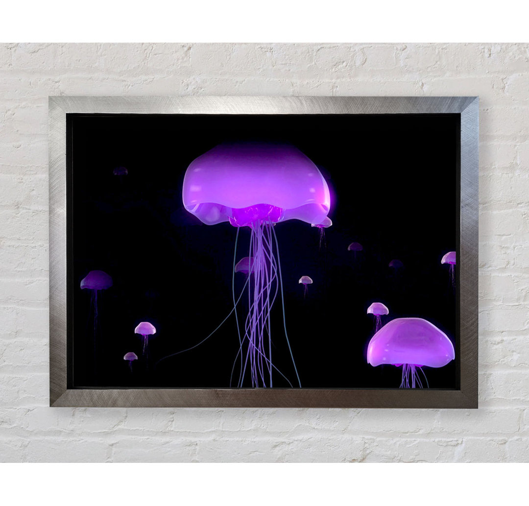 Jellyfish Lights Up The Ocean - Einzelne Bilderrahmen Kunstdrucke