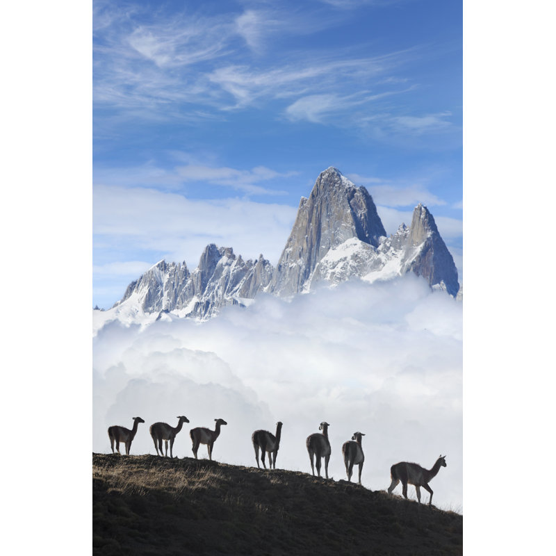 Fitz Roy Guanacos - Wrapped Canvas Print, 46cm H x 30cm W x 3.8cm D