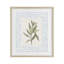 «Leafy Fresh Herb», reproduction sous verre encadrée, design par Diannart-1837462465-1837462470