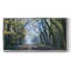 Forêt d'acacia - Toile tendue avec châssis, prête à accrocher-2001429317-2001429321