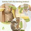 Multi-level Cat Tree Avocado Theme Cat Tower w/ Wide Perch-Green