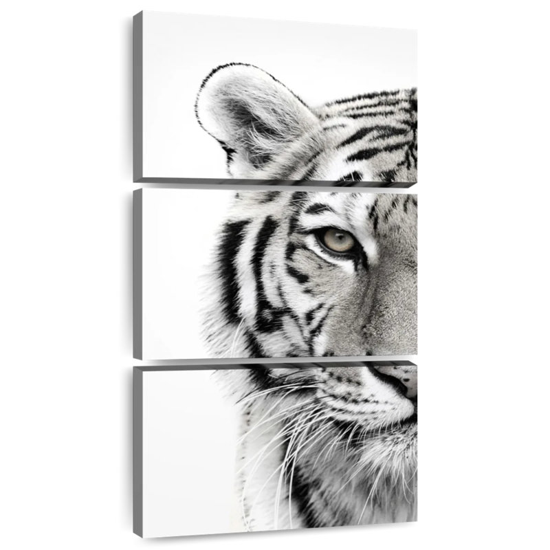 Aspect de tigre, H 32 po x l 15 po