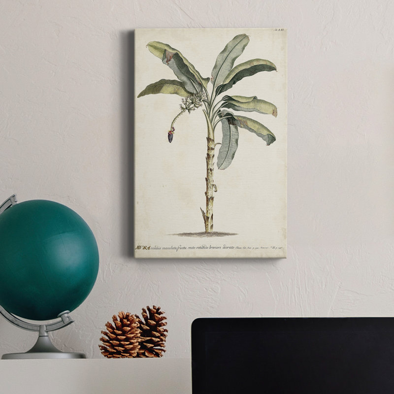 Banana Palm II - impression sur toile tendue, H 36 po x l 24 po x P 1 po