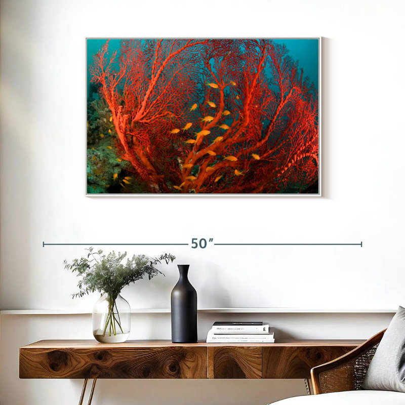 Corail de feu, Cadre flottant blanc, 37 po x 25 po