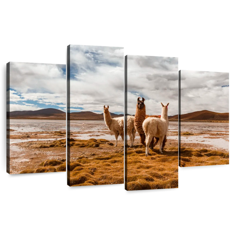 Brampt Desert Alpacas, 32" H x 52" W