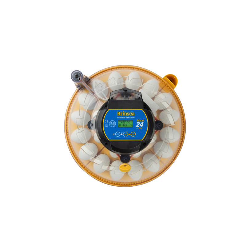 Maxi 24 EX Automatic Yellow and Clear Egg Incubator