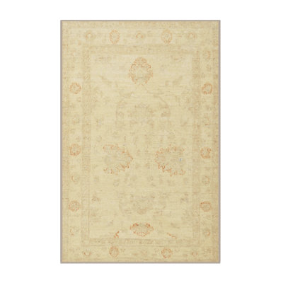 Oriental Indoor Rug
