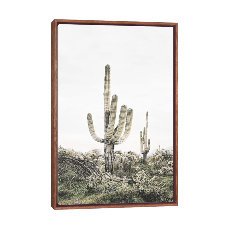 « rosé timide cactus », photographie, H 26 po x l 18 po x P 1,5 po, Toile avec cadre en bois classique