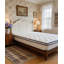 Knitted Fabric Cover Pocket Sprung Mattress Medium Firm Breathable Support Mattress -126129525