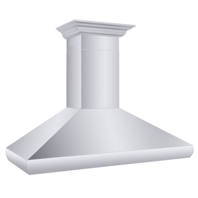 48" Professional 500 CFM Convertible Wall Mount Range Hood in Stainless Steel