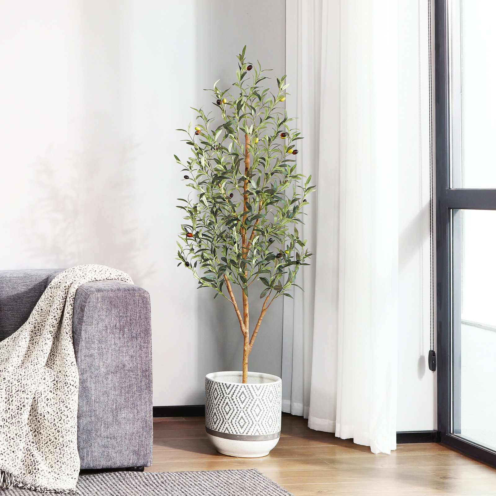 Adcock Olive Tree in Pot, 59" H x 15" W x 15" D