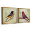 Backyard Birds I - Ensemble de 2 cadres photo sur toile-665859514-665859517