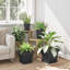  Square Flower Pot 6 Pcs Plastic-354333272-354333277
