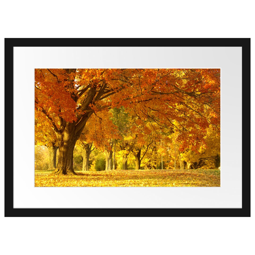 Gerahmtes Poster Schöne Herbstlandschaft