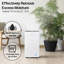 Tower 12l Compressor Dehumidifier