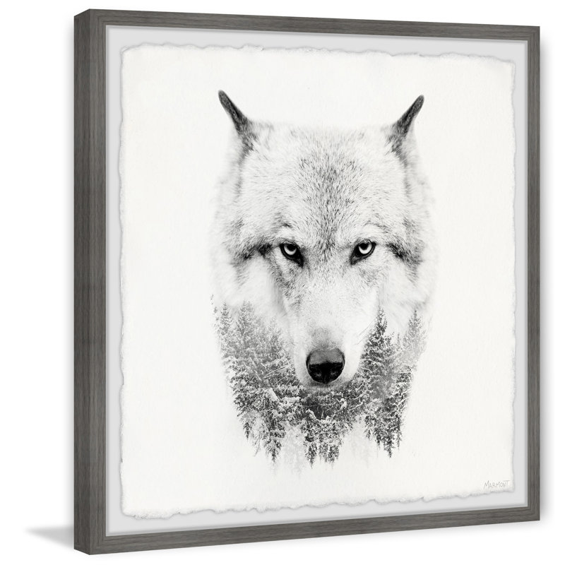 White Wolf - Single Picture Frame Print, 81cm H x 81cm W x 3.81cm D