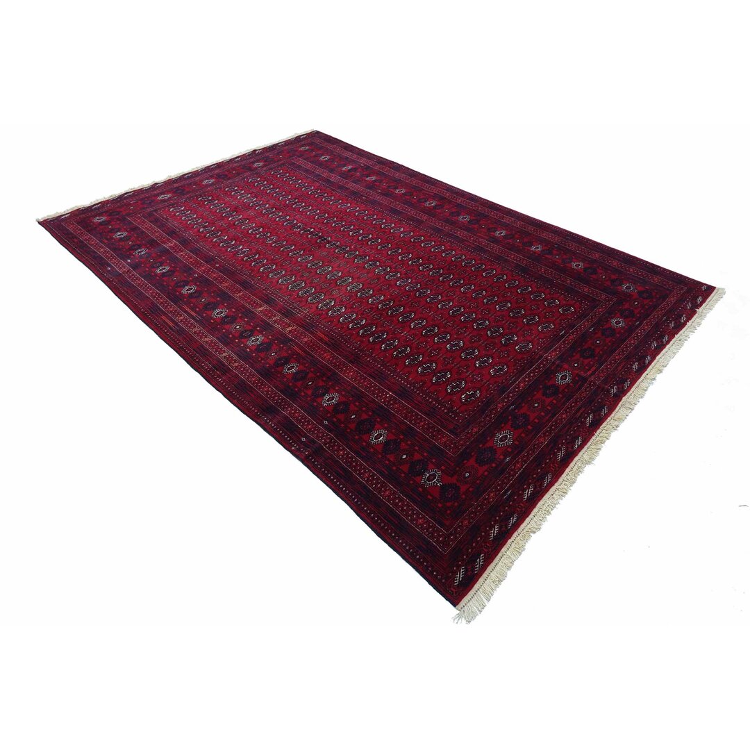 Afghan Mauri