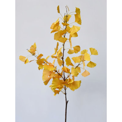 Golden Gingko Branch â€“ 47.2"