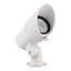 LED Spotlight-42187203