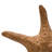 Tempe Landscape & Nature Figurines & Sculptures