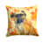 Brussels Griffon