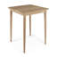 Calixto Outdoor Square Teak Bistro Table